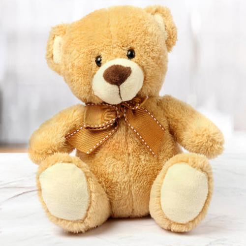 - Get Well Teddy Bear Delivery