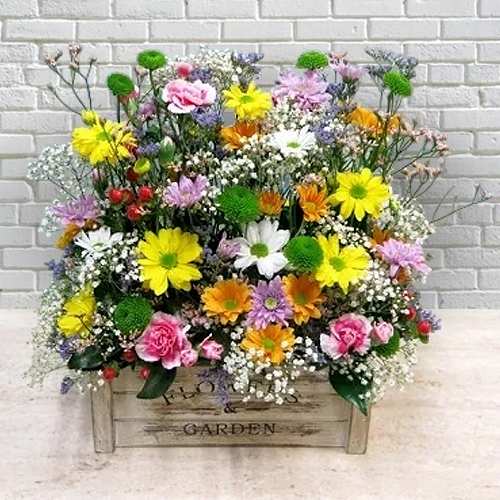 - Get Well Flowers Delivery