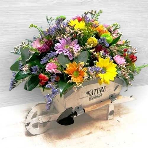- Congratulation Flowers Online