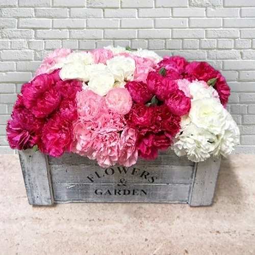 - Mixed Carnation Arrangement For Mother's Day