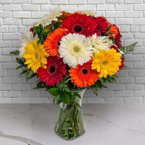 - Send Mixed Gerbera Birthday Bouquet