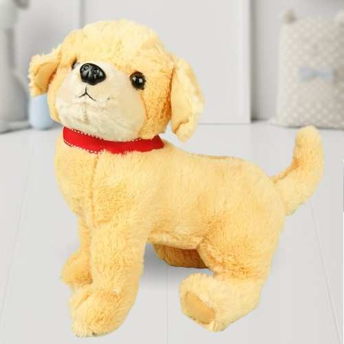 Dog Plush