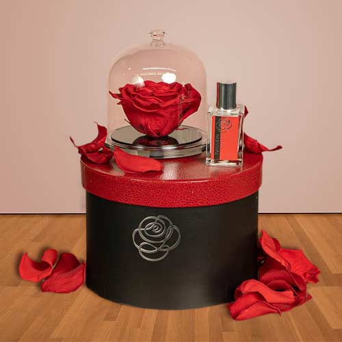 - Valentine’s Gift Delivery