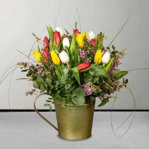 - Valentine's Day Mixed Tulips Delivery