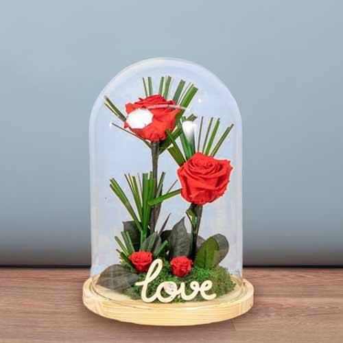 - Red Roses Dome Display For Valentine's Day