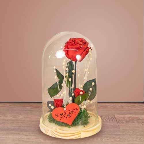 - Red Rose In Glass Dome