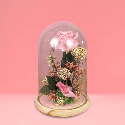 - Valentine Pink Rose Dome Gift