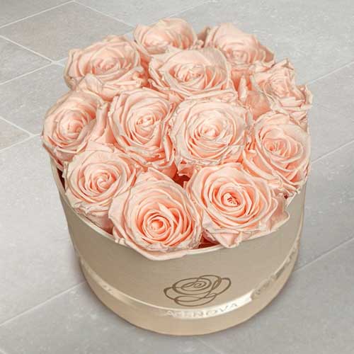 - Preserved Pink Roses For Valentine’s Day
