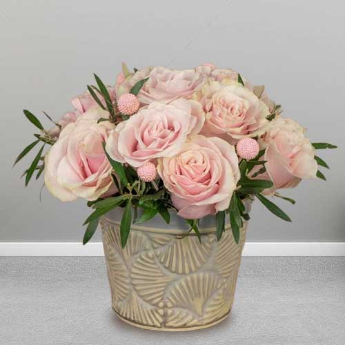 - Fresh Pink Roses Valentine’s Day Online