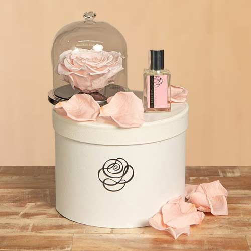 Long Lasting Memories