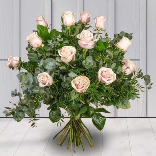12 Long Stemed Pink Roses