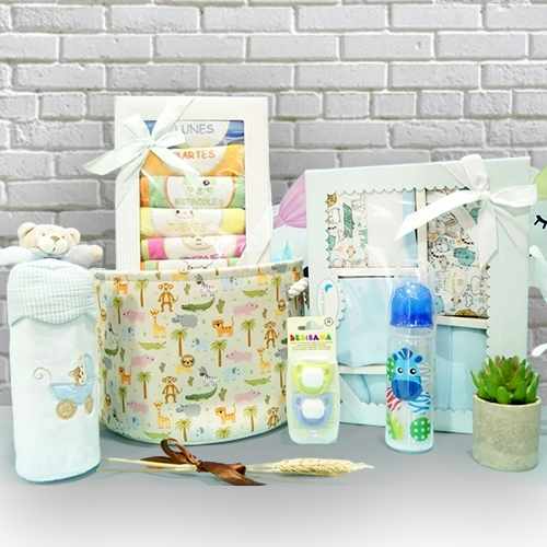 Safari Baby Birth Set – Thoughtful Newborn Gift Basket For Little Ones