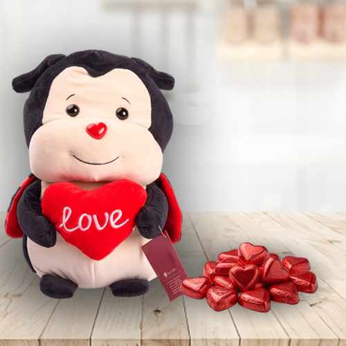 Cuddly Ladybug Gift