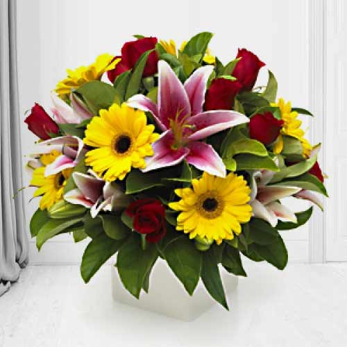 Cheerful Mix Flower Collection-Get Well Soon Flowers For Her