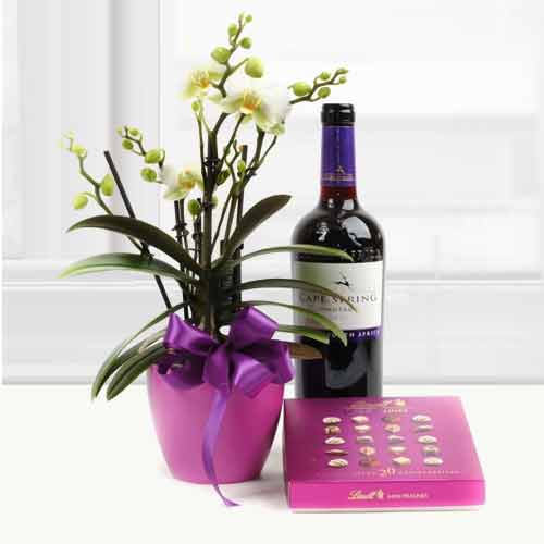 Orchid Flower Gift With Sweets And Wine-Gift Basket For Sister In Law