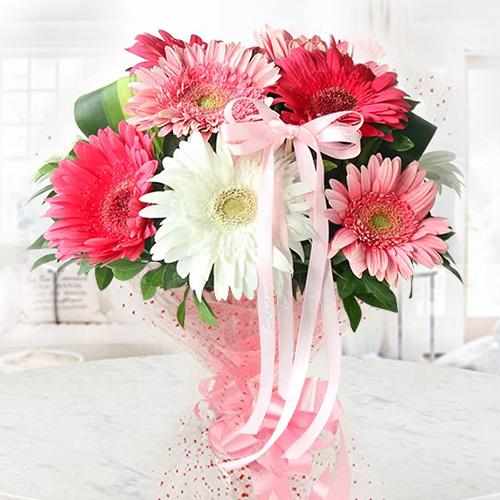 Gerberas Bouquet-Order Congratulations Flowers