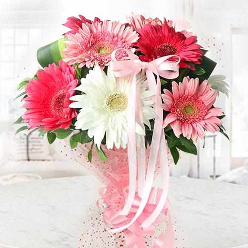 Gerberas Bouquet