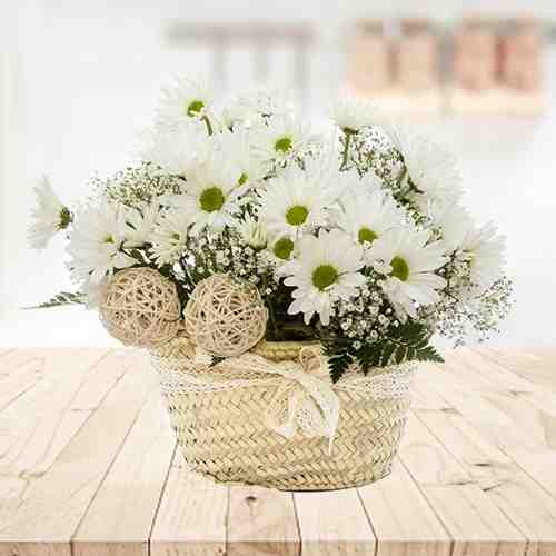 White Chrysanthemums And Seasonal Flower-Flowers For Grandma On Mother's Day