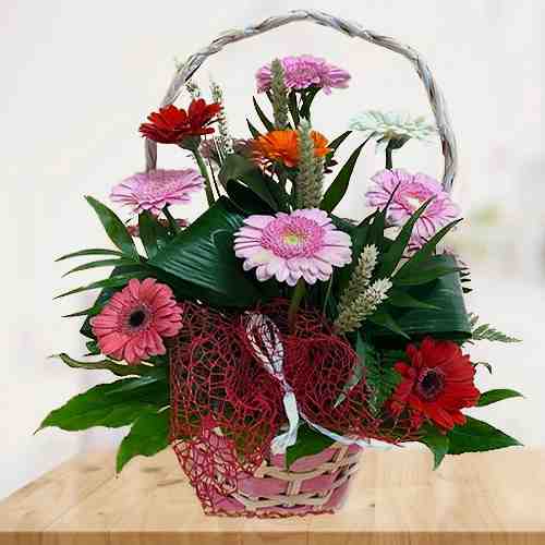 Multi Colour Gerberas Basket-Buy Flowers For Girlfriend