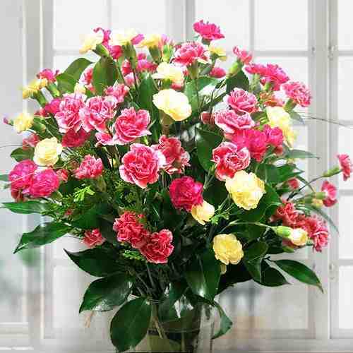 Mini Carnation Bouquet