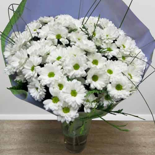 Bouquet Of White Daisy