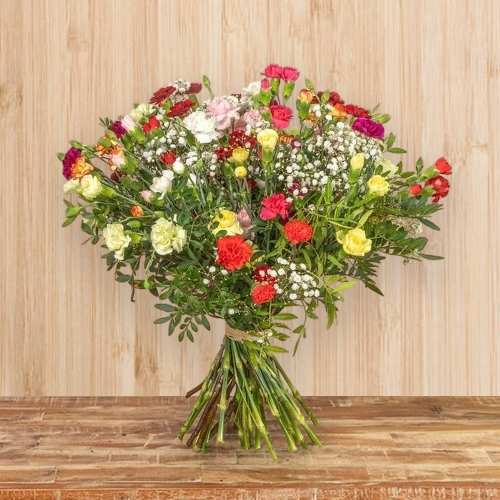 - Colorful Carnation Bouquet Delivery